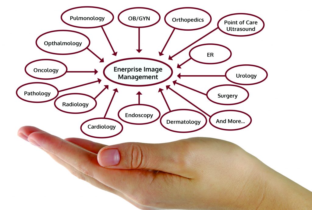 Enterprise Imaging Medical Technology Consulting
